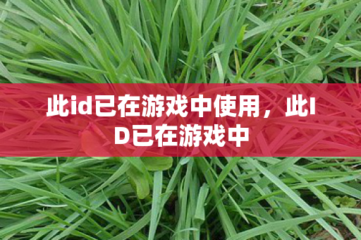 此id已在游戏中使用，此ID已在游戏中