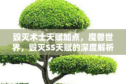 毁灭术士天赋加点，魔兽世界，毁灭SS天赋的深度解析