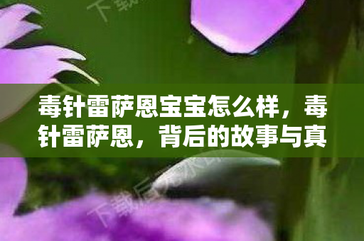 毒针雷萨恩宝宝怎么样,毒针雷萨恩,背后的故事与真相揭秘 毒针雷萨恩宝宝怎么样,毒针雷萨恩,背后的故事与真相揭秘