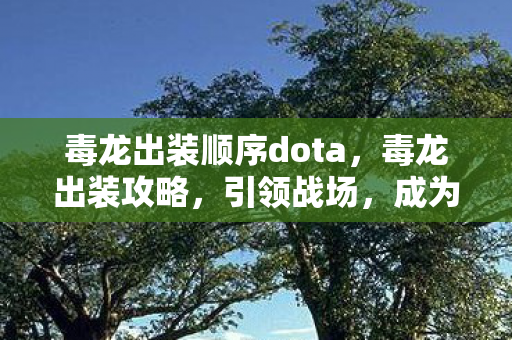毒龙出装顺序dota,毒龙出装攻略,引领战场,成为不败神话 毒龙出装顺序dota,毒龙出装攻略,引领战场,成为不败神话