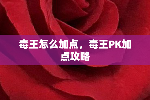 毒王怎么加点，毒王PK加点攻略