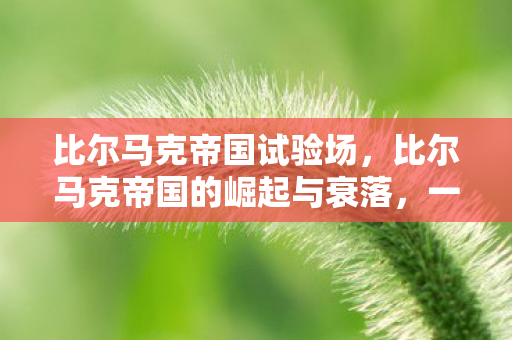 比尔马克帝国试验场，比尔马克帝国的崛起与衰落，一个帝国的历史轨迹