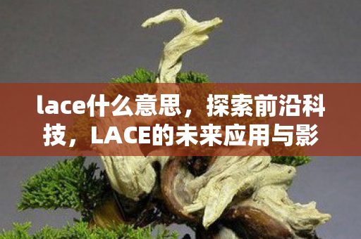 lace什么意思,探索前沿科技,LACE的未来应用与影响 lace什么意思,探索前沿科技,LACE的未来应用与影响