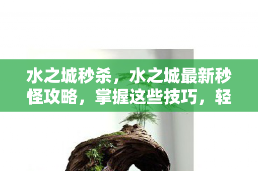 水之城秒杀，水之城最新秒怪攻略，掌握这些技巧，轻松击败怪物！