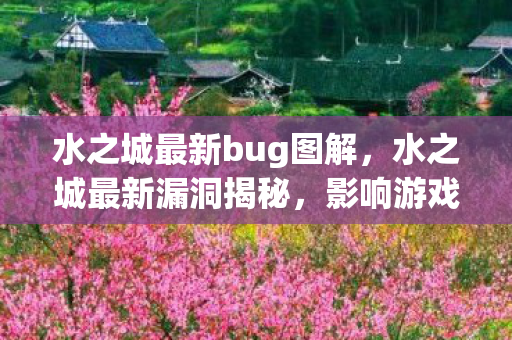 水之城最新bug图解，水之城最新漏洞揭秘，影响游戏体验的隐患已浮出水面