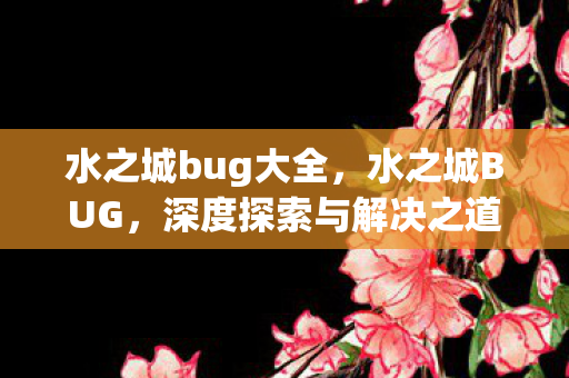 水之城bug大全,水之城BUG,深度探索与解决之道 水之城bug大全,水之城BUG,深度探索与解决之道