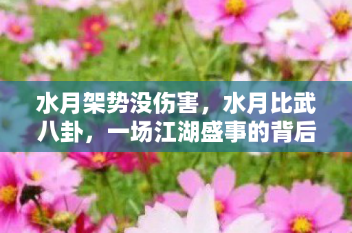 水月架势没伤害,水月比武八卦,一场江湖盛事的背后故事 水月架势没伤害,水月比武八卦,一场江湖盛事的背后故事