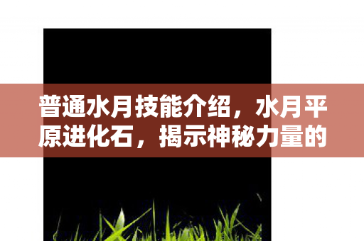 普通水月技能介绍,水月平原进化石,揭示神秘力量的起源与应用 普通水月技能介绍,水月平原进化石,揭示神秘力量的起源与应用