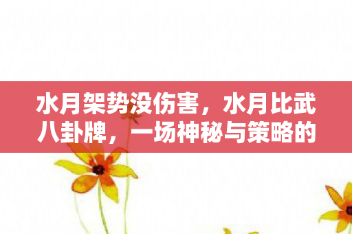 水月架势没伤害，水月比武八卦牌，一场神秘与策略的较量