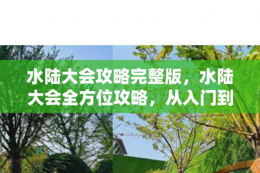 水陆大会攻略完整版,水陆大会全方位攻略,从入门到精通 水陆大会攻略完整版,水陆大会全方位攻略,从入门到精通