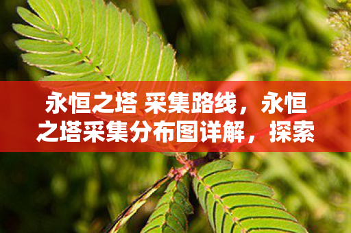 永恒之塔 采集路线,永恒之塔采集分布图详解,探索资源的无尽宝藏 永恒之塔 采集路线,永恒之塔采集分布图详解,探索资源的无尽宝藏