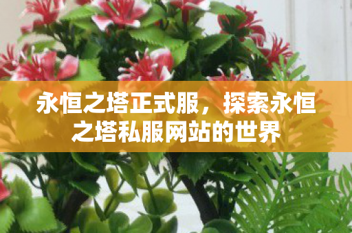 永恒之塔正式服,探索永恒之塔私服网站的世界 永恒之塔正式服,探索永恒之塔私服网站的世界