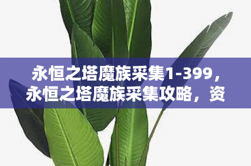 永恒之塔魔族采集1-399,永恒之塔魔族采集攻略,资源获取与高效采集方法 永恒之塔魔族采集1-399,永恒之塔魔族采集攻略,资源获取与高效采集方法