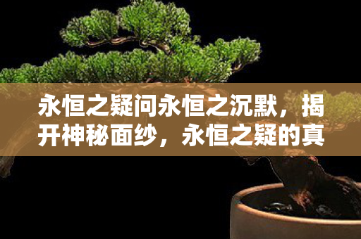 永恒之疑问永恒之沉默,揭开神秘面纱,永恒之疑的真相探索 永恒之疑问永恒之沉默,揭开神秘面纱,永恒之疑的真相探索