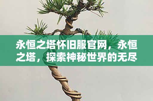 永恒之塔怀旧服官网，永恒之塔，探索神秘世界的无尽魅力