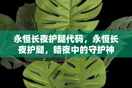 永恒长夜护腿代码,永恒长夜护腿,暗夜中的守护神 永恒长夜护腿代码,永恒长夜护腿,暗夜中的守护神