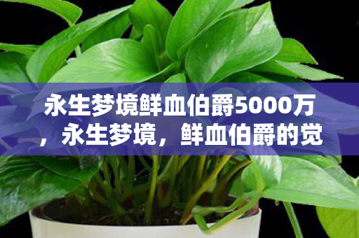 永生梦境鲜血伯爵5000万,永生梦境,鲜血伯爵的觉醒与复仇之路 永生梦境鲜血伯爵5000万,永生梦境,鲜血伯爵的觉醒与复仇之路