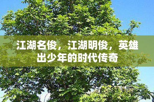 江湖名俊，江湖明俊，英雄出少年的时代传奇