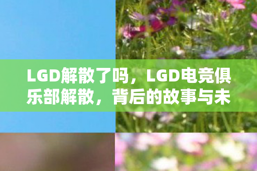 LGD解散了吗,LGD电竞俱乐部解散,背后的故事与未来展望 LGD解散了吗,LGD电竞俱乐部解散,背后的故事与未来展望