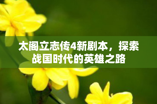 太阁立志传4新剧本,探索战国时代的英雄之路 太阁立志传4新剧本,探索战国时代的英雄之路