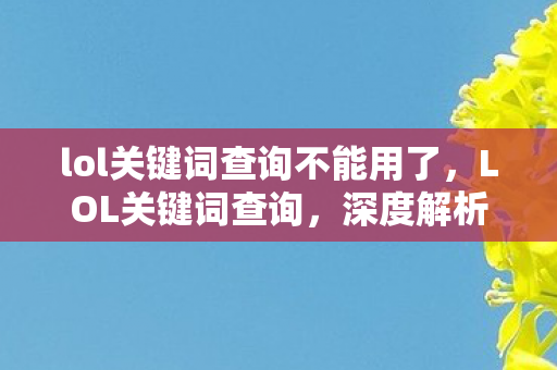 lol关键词查询不能用了，LOL关键词查询，深度解析游戏魅力与策略