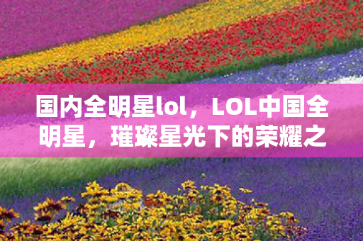 国内全明星lol,LOL中国全明星,璀璨星光下的荣耀之战 国内全明星lol,LOL中国全明星,璀璨星光下的荣耀之战