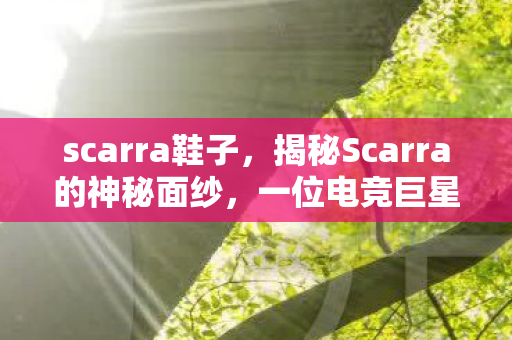 scarra鞋子，揭秘Scarra的神秘面纱，一位电竞巨星的崛起之路