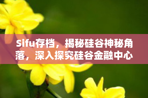 Sifu存档，揭秘硅谷神秘角落，深入探究硅谷金融中心SIFUCUN的奥秘