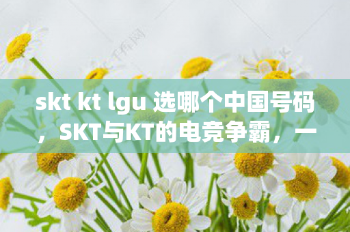 skt kt lgu 选哪个中国号码,SKT与KT的电竞争霸,一场未完之战 skt kt lgu 选哪个中国号码,SKT与KT的电竞争霸,一场未完之战