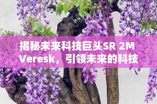 揭秘未来科技巨头SR 2M Veresk,引领未来的科技力量与无限潜力 揭秘未来科技巨头SR 2M Veresk,引领未来的科技力量与无限潜力