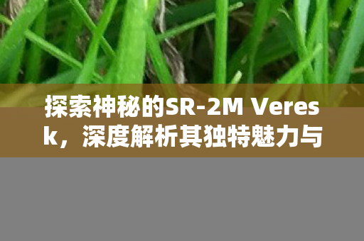 探索神秘的SR-2M Veresk,深度解析其独特魅力与性能特点 探索神秘的SR-2M Veresk,深度解析其独特魅力与性能特点
