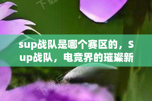 sup战队是哪个赛区的,Sup战队,电竞界的璀璨新星 sup战队是哪个赛区的,Sup战队,电竞界的璀璨新星