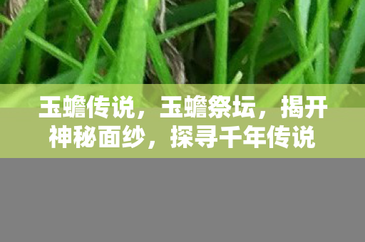 玉蟾传说,玉蟾祭坛,揭开神秘面纱,探寻千年传说 玉蟾传说,玉蟾祭坛,揭开神秘面纱,探寻千年传说