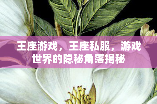 王座游戏,王座私服,游戏世界的隐秘角落揭秘 王座游戏,王座私服,游戏世界的隐秘角落揭秘