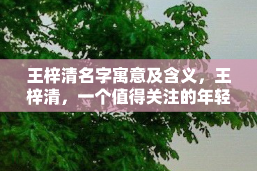 王梓清名字寓意及含义,王梓清,一个值得关注的年轻力量 王梓清名字寓意及含义,王梓清,一个值得关注的年轻力量