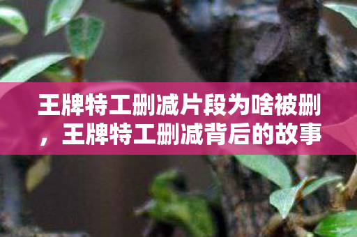 王牌特工删减片段为啥被删,王牌特工删减背后的故事与影响 王牌特工删减片段为啥被删,王牌特工删减背后的故事与影响