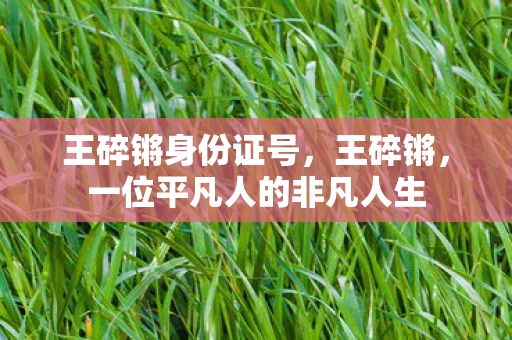 王碎锵身份证号,王碎锵,一位平凡人的非凡人生 王碎锵身份证号,王碎锵,一位平凡人的非凡人生