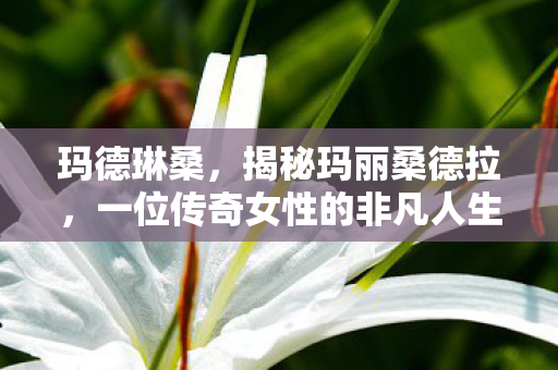 玛德琳桑,揭秘玛丽桑德拉,一位传奇女性的非凡人生旅程 玛德琳桑,揭秘玛丽桑德拉,一位传奇女性的非凡人生旅程