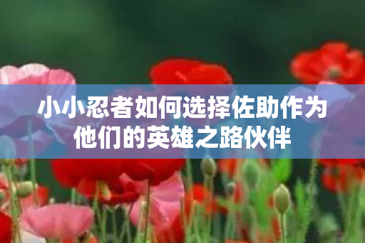小小忍者如何选择佐助作为他们的英雄之路伙伴