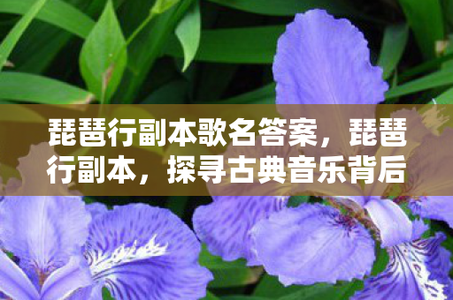 琵琶行副本歌名答案,琵琶行副本,探寻古典音乐背后的故事与深意 琵琶行副本歌名答案,琵琶行副本,探寻古典音乐背后的故事与深意