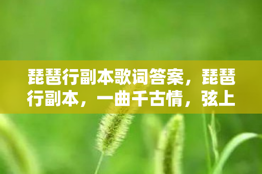 琵琶行副本歌词答案,琵琶行副本,一曲千古情,弦上的诗意人生 琵琶行副本歌词答案,琵琶行副本,一曲千古情,弦上的诗意人生