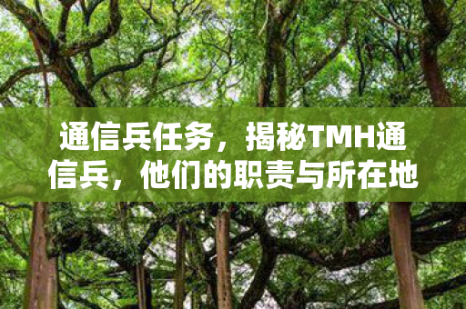 通信兵任务,揭秘TMH通信兵,他们的职责与所在地 通信兵任务,揭秘TMH通信兵,他们的职责与所在地