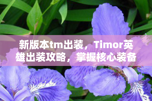 新版本tm出装,Timor英雄出装攻略,掌握核心装备,驰骋战场 新版本tm出装,Timor英雄出装攻略,掌握核心装备,驰骋战场