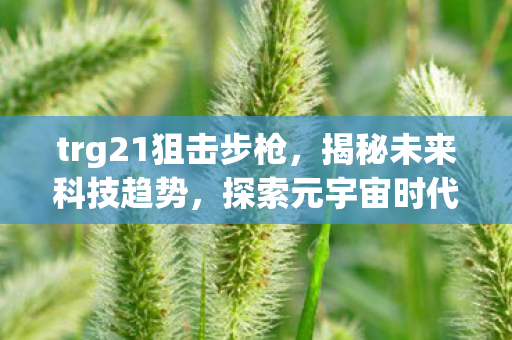 trg21狙击步枪，揭秘未来科技趋势，探索元宇宙时代下的机遇与挑战