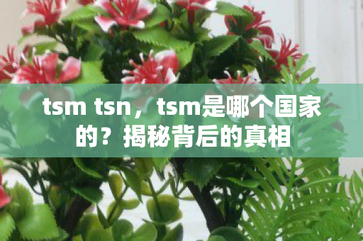 tsm tsn，tsm是哪个国家的？揭秘背后的真相