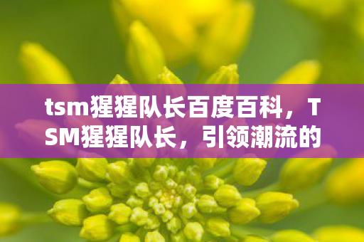 tsm猩猩队长百度百科,TSM猩猩队长,引领潮流的电竞领袖 tsm猩猩队长百度百科,TSM猩猩队长,引领潮流的电竞领袖