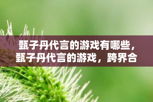 甄子丹代言的游戏有哪些,甄子丹代言的游戏,跨界合作的魅力与影响 甄子丹代言的游戏有哪些,甄子丹代言的游戏,跨界合作的魅力与影响