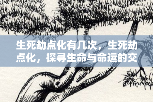 生死劫点化有几次，生死劫点化，探寻生命与命运的交织之谜