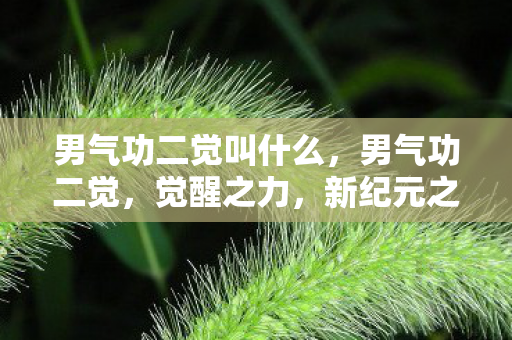 男气功二觉叫什么，男气功二觉，觉醒之力，新纪元之始