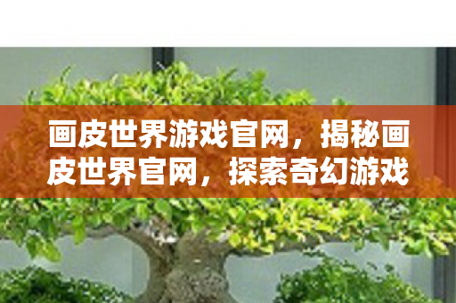 画皮世界游戏官网，揭秘画皮世界官网，探索奇幻游戏世界的门户